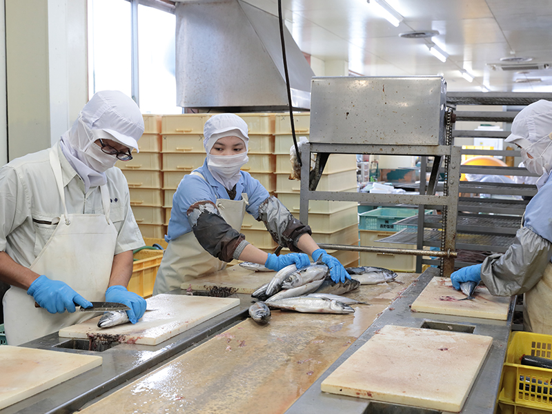 株式会社海幸　沖縄営業所メイン画像4